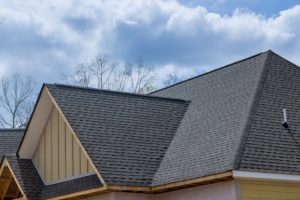 Learn What it Takes to Own Your Own Roof Cleaning Business